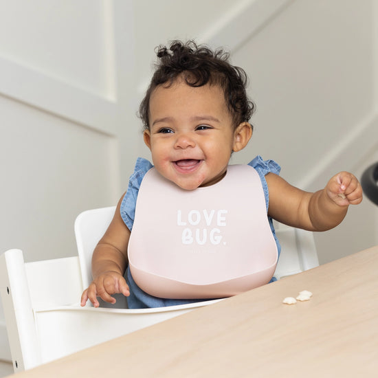 Love Bug Bib