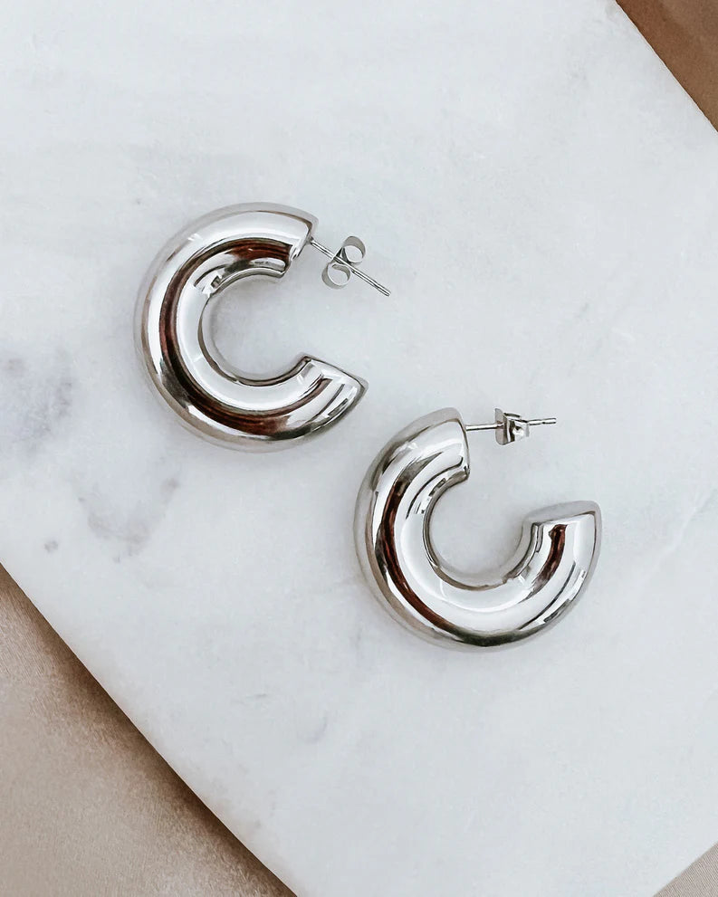 Eldon Silver Earrings