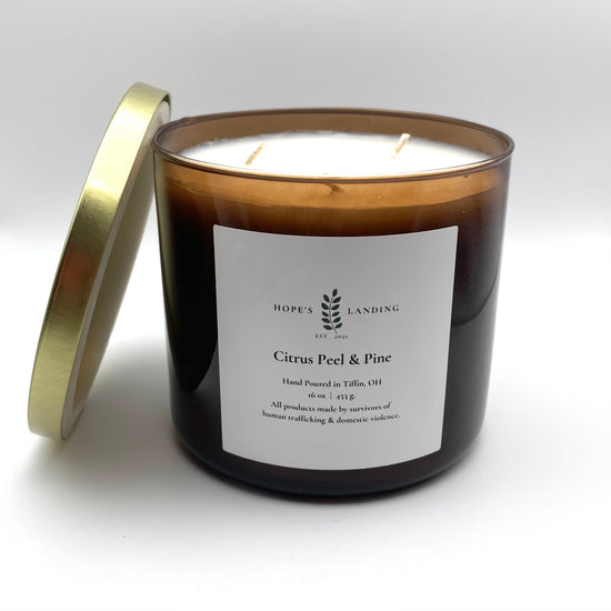 Citrus Peel & Pine Candle - Multiple Sizes Available