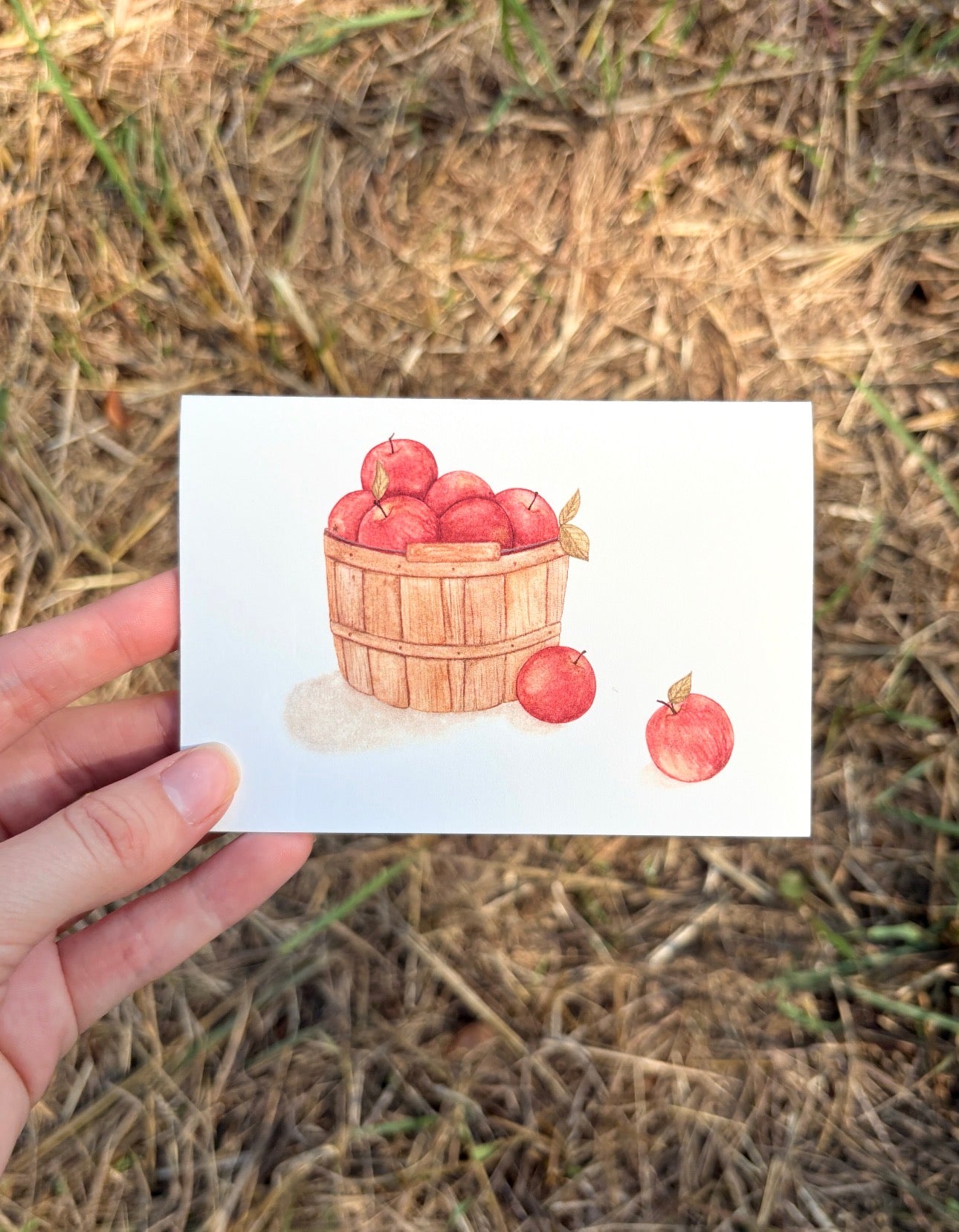Small Watercolor Greeting Cards (4.9" x 3.4")