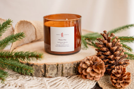 Winter Pine Candle - Multiple Sizes Available