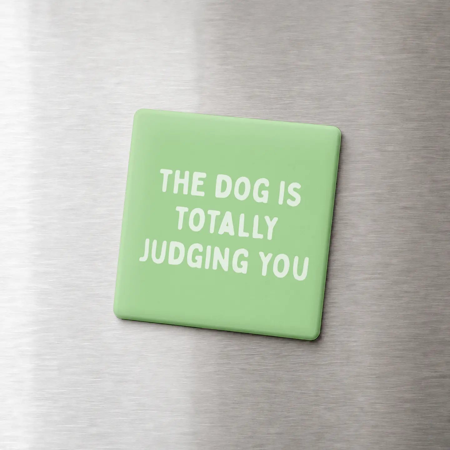 The Dog Is Totally Judging You - Funny Quote Magnet