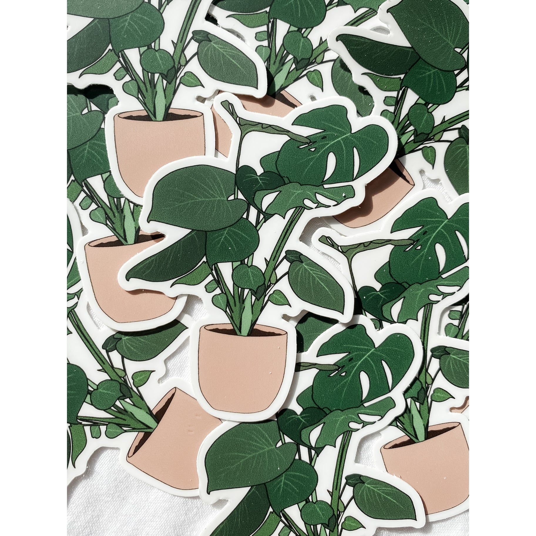 Monstera Plant Sticker – The Mustard Seed Marketplace